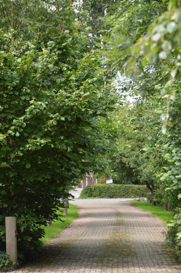 Bed and Breakfast Bij Ons Op 20 Nijeveen Exterior foto